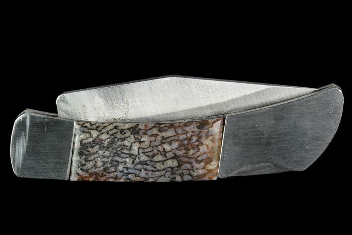 Pocketknife With Fossil Dinosaur Bone (Gembone) Inlays #125248